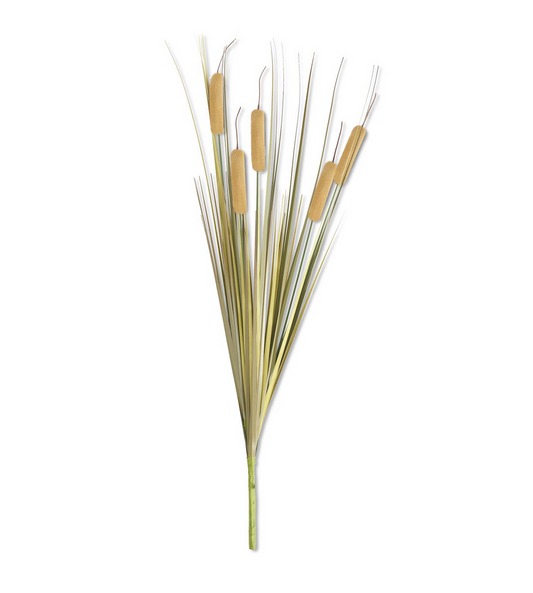 Natural Five Head Cattail Stem 25"