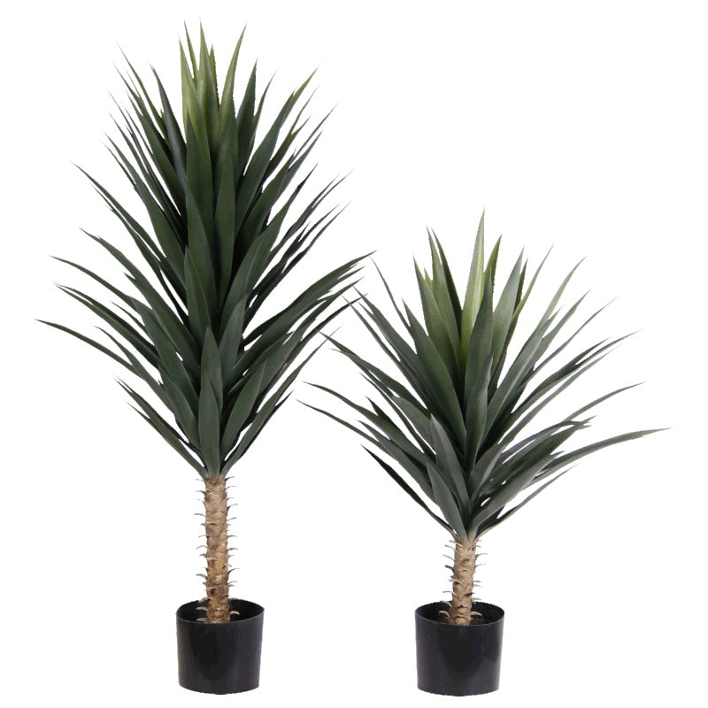 potted blue agave plant Potted Blue Agave Plant 3' – Peddler Interiors