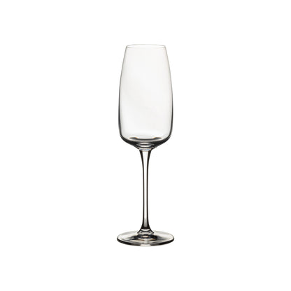 Isabel - Flute 10oz