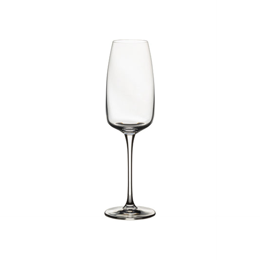 Isabel - Flute 10oz