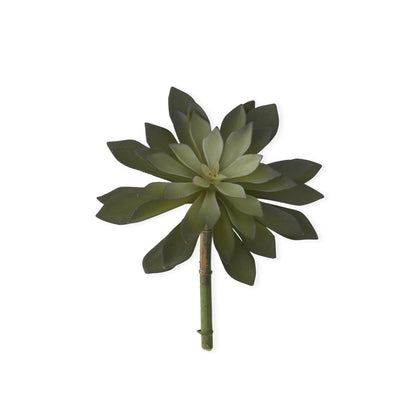 Two Tone Green Succulent Pick - 9"