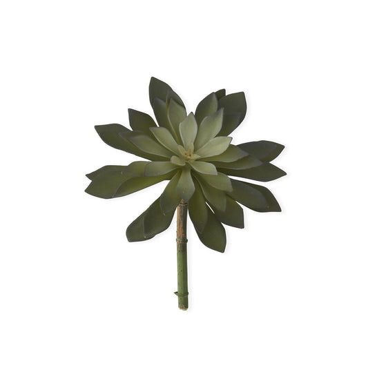 Two Tone Green Succulent Pick - 9"