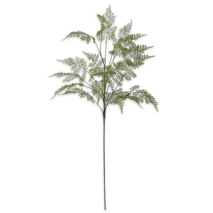 Lace Fern Spray - 46"