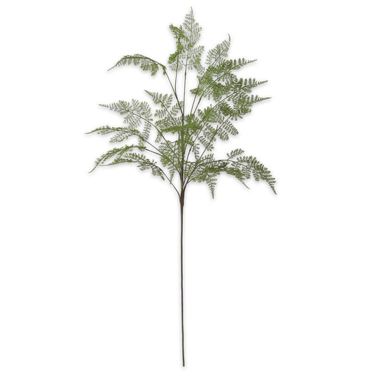 Lace Fern Spray - 46"