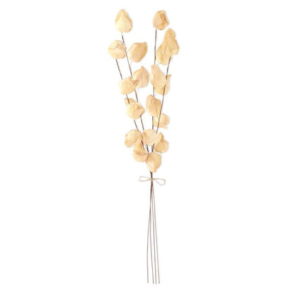 Cream Chinese Lantern Bundle 28.5"