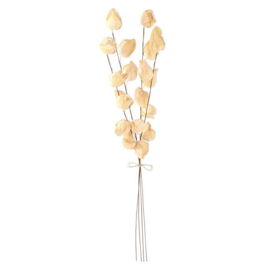 Cream Chinese Lantern Bundle 28.5"