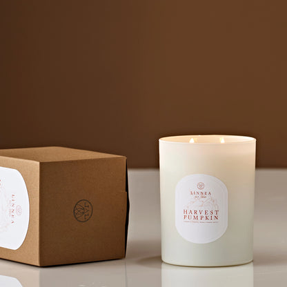 LNA Harvest Pumpkin - 2 Wick Candle 11oz