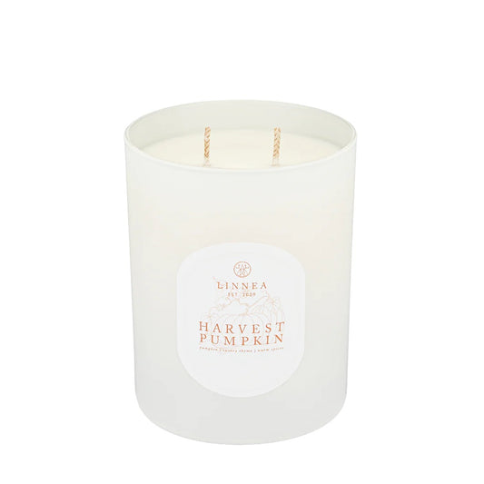 LNA Harvest Pumpkin - 2 Wick Candle 11oz