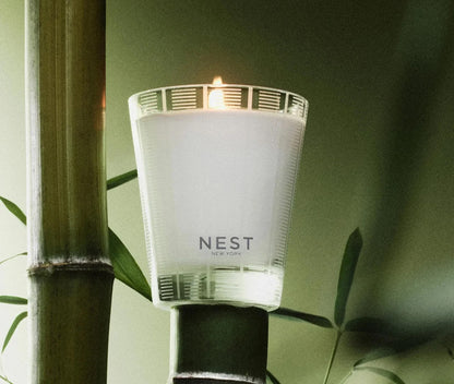 Bamboo - Classic Candle 8.1 oz