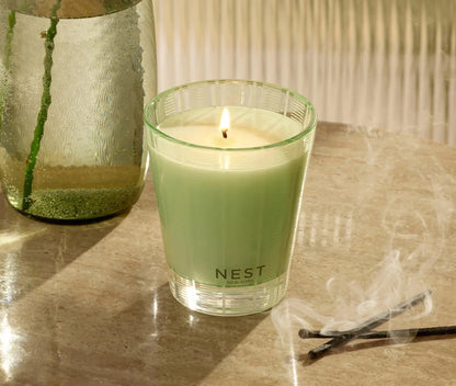 Cucumber & White Sage - Classic Candle 8.1 oz