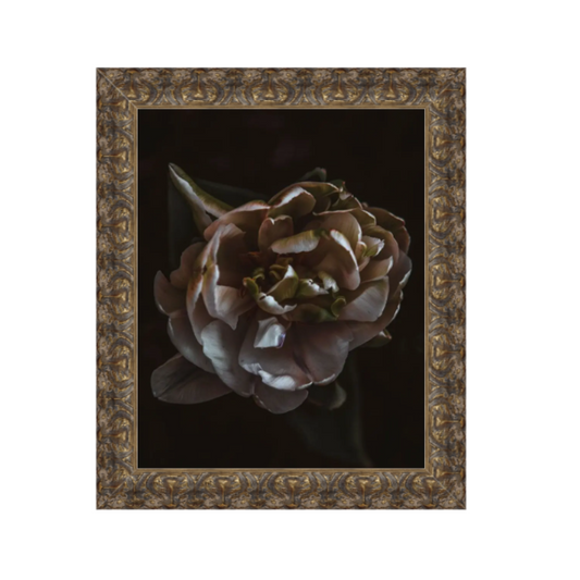 Night Blooming 5 - 21x24