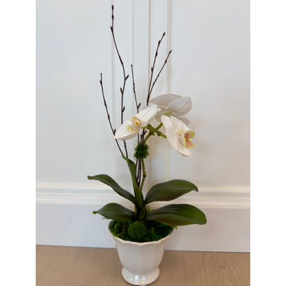 White Phalaenopsis Orchid Floral Arrangement17"H6"W