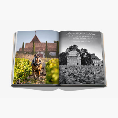 Wine & Travel - France