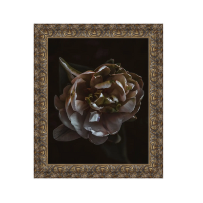 Night Blooming 5 - 21x24