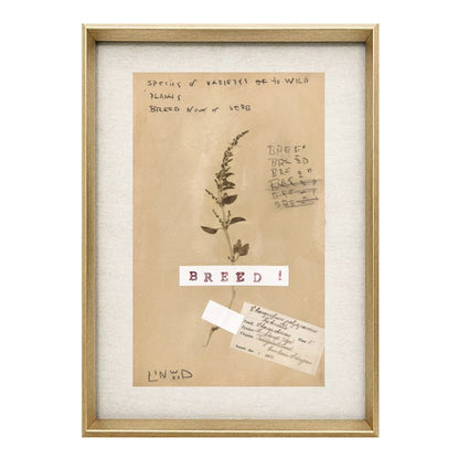 Pressed Flora: Breed (Linwood Original)