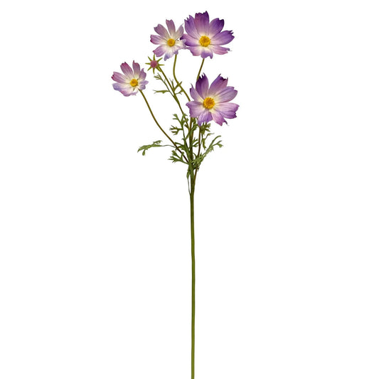 WWF Cosmo Spray - Purple 29"