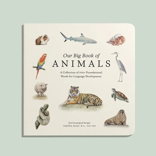 Our Big Book of Sports Board Book