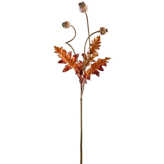 ASF Poppy Pod Spray - Two Tone Brown 37"