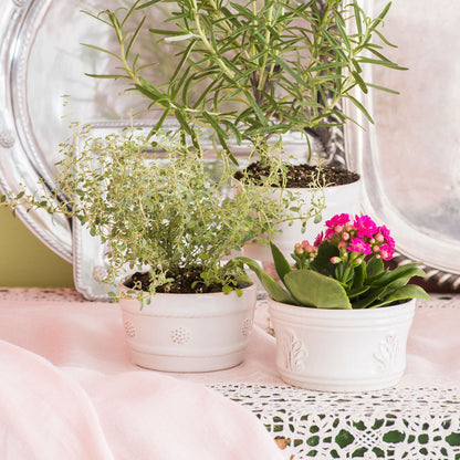 JLK Berry and Thread - Whitewash - Ramekin 8 oz
