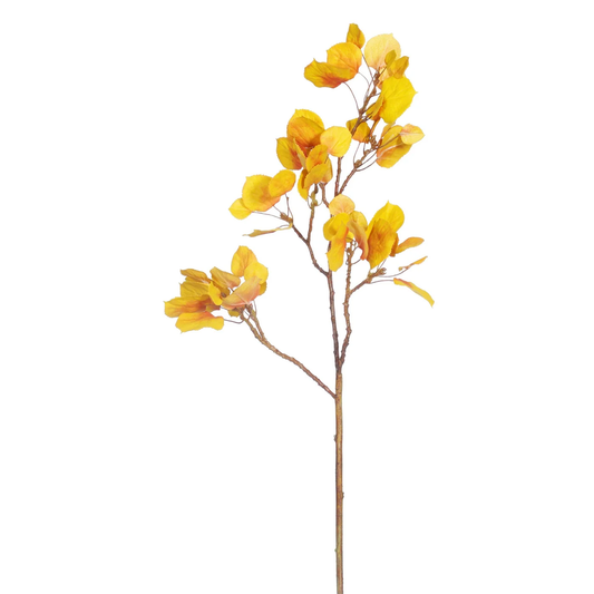 WWF Aspen 29" - Yellow