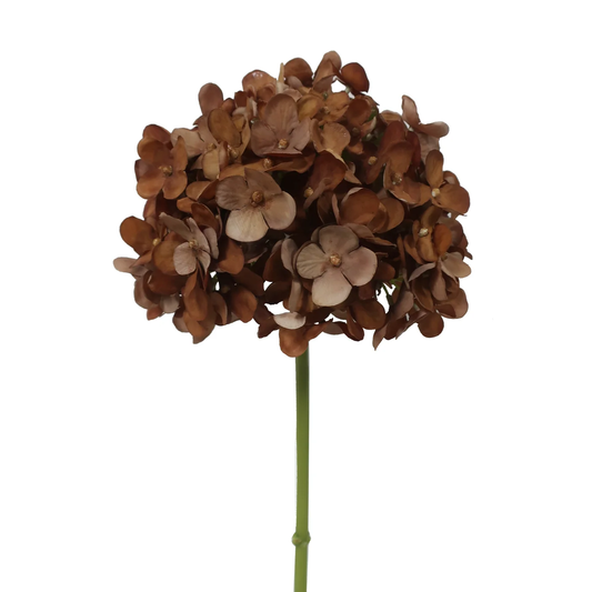 Hydrangea Short Stem 21" - Natural Brown