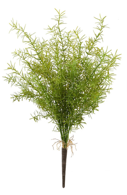 WWF Asparagus Spring Fern Bush 20"