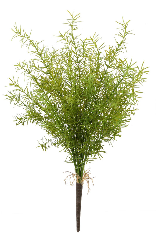 WWF Asparagus Spring Fern Bush 20"