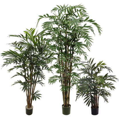 Potted New Bamboo Palm 7.5'