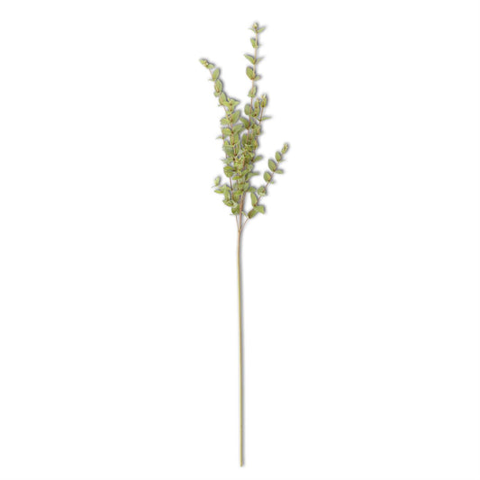 Mini Heart Eucalyptus Spray - 38"