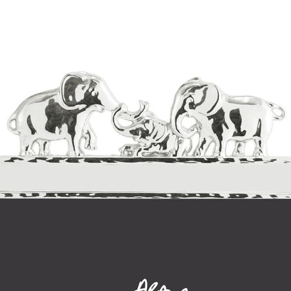 Elephant - Silver Frame 4x6