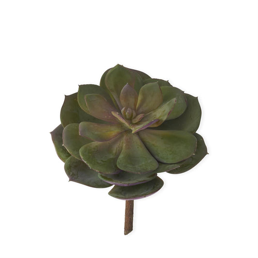 Green & Burgundy Succulent Pick 7.5"