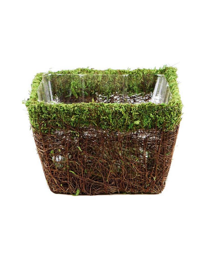 Ventura Moss Basket Square