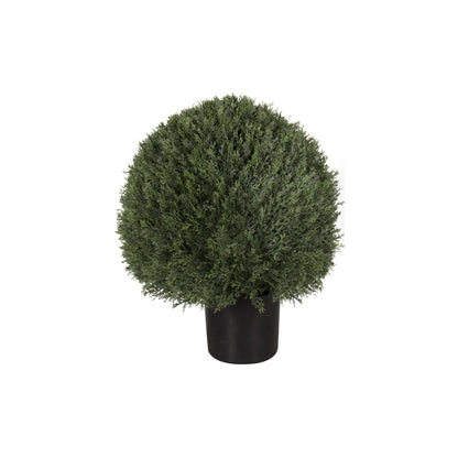 Potted Pond Cypress Ball Tree 30" - Outdoor