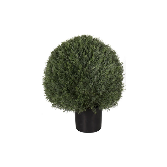 Potted Pond Cypress Ball Tree 30" - Outdoor