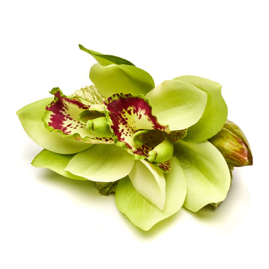 DBR Rain Orchid Napkin Ring - Green