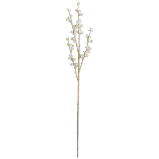 Powdered Tan Eucalyptus Pod Stem - 35"