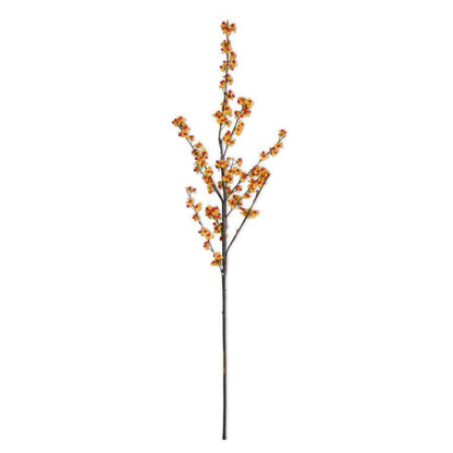Orange & Yellow Bittersweet Branch Bundle 40"
