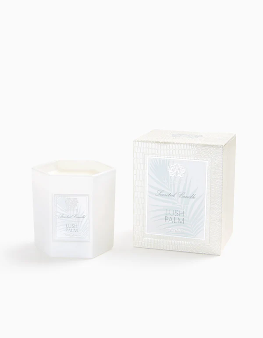 Lush Palm Candle 9oz