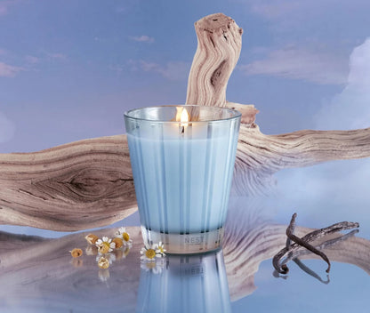 NST Driftwood & Chamomile - Classic Candle 8.1 oz