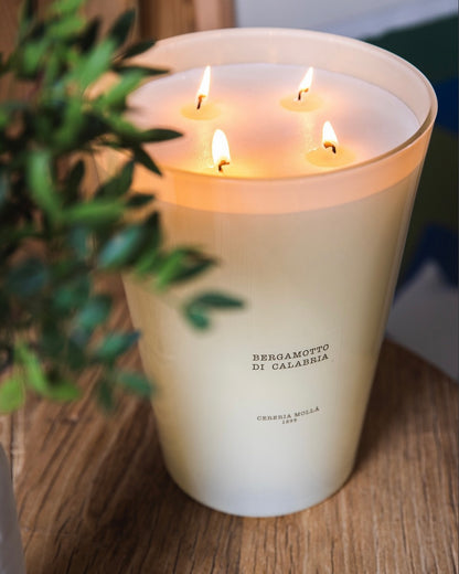 Black Orchid & Lily - 4 Wick Candle 7.7lbs
