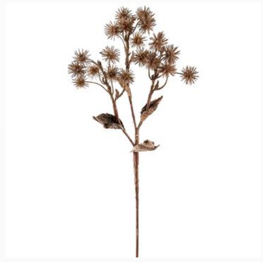 Dried-Look Thistle Brown 18"