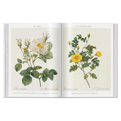 Redouté. Roses: The Complete Plates: 1817 - 1824