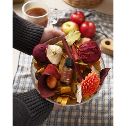 ARO Cinnamon Cider - Large Decorative Fragrance Bag 13oz
