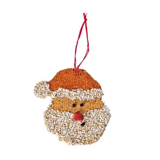 MBR Santa Christmas Cookie Ornament