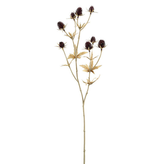 ASF Eryngium Spray - Wine 20"