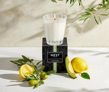 NST Santorini Olive & Citron - Classic Candle 8.1 oz.
