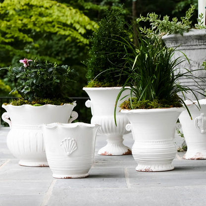 Rustic Garden White Small Scallop Planter