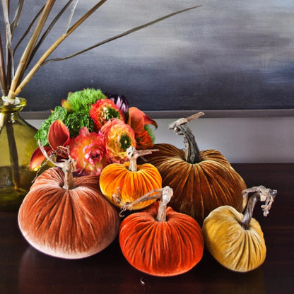 Velvet Pumpkin - Acorn