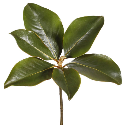 WWF Magnolia Leaf Pick 14"- Green