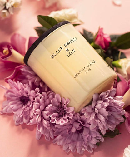 Black Orchid & Lily - Premium Candle 8oz